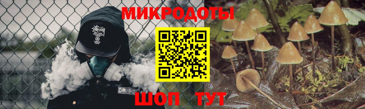 Галлюциногенные грибы GOLDEN TEACHER  Вход с VPN  Псилоцибиновые грибы Magic Shrooms  Тайшет 